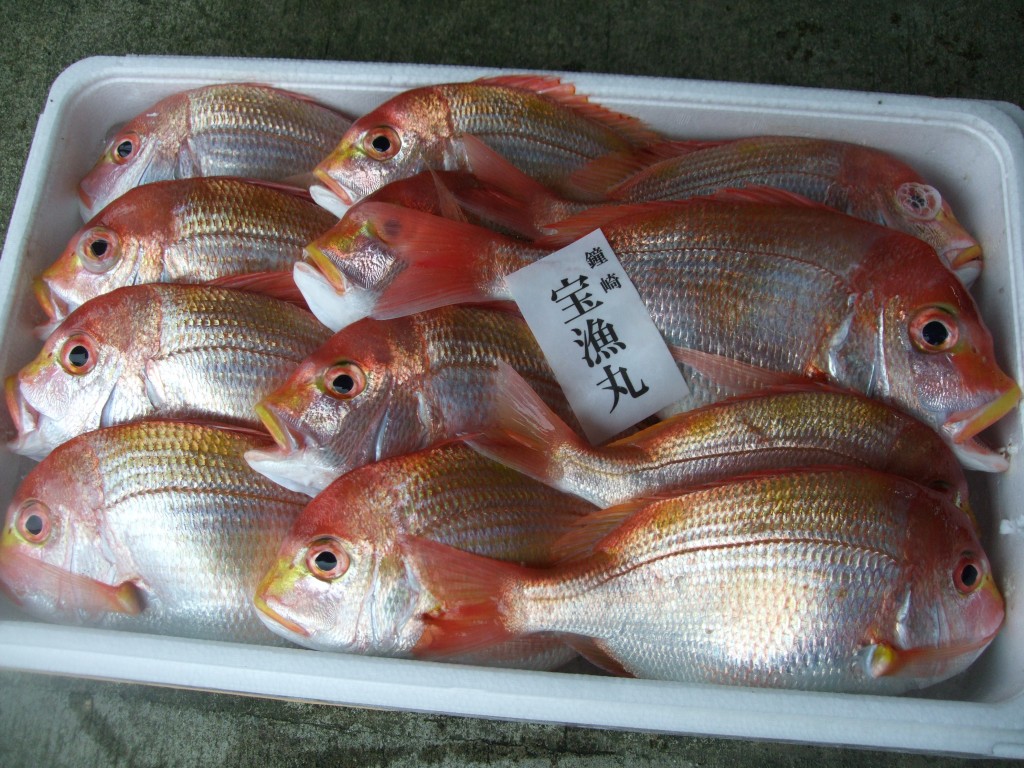 DSCF3126