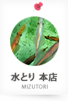 水とり 本店